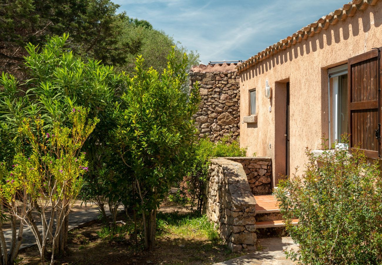 Appartement à Porto Rotondo - Caletta 53 - appartement en bord de mer avec piscine et court de tennis