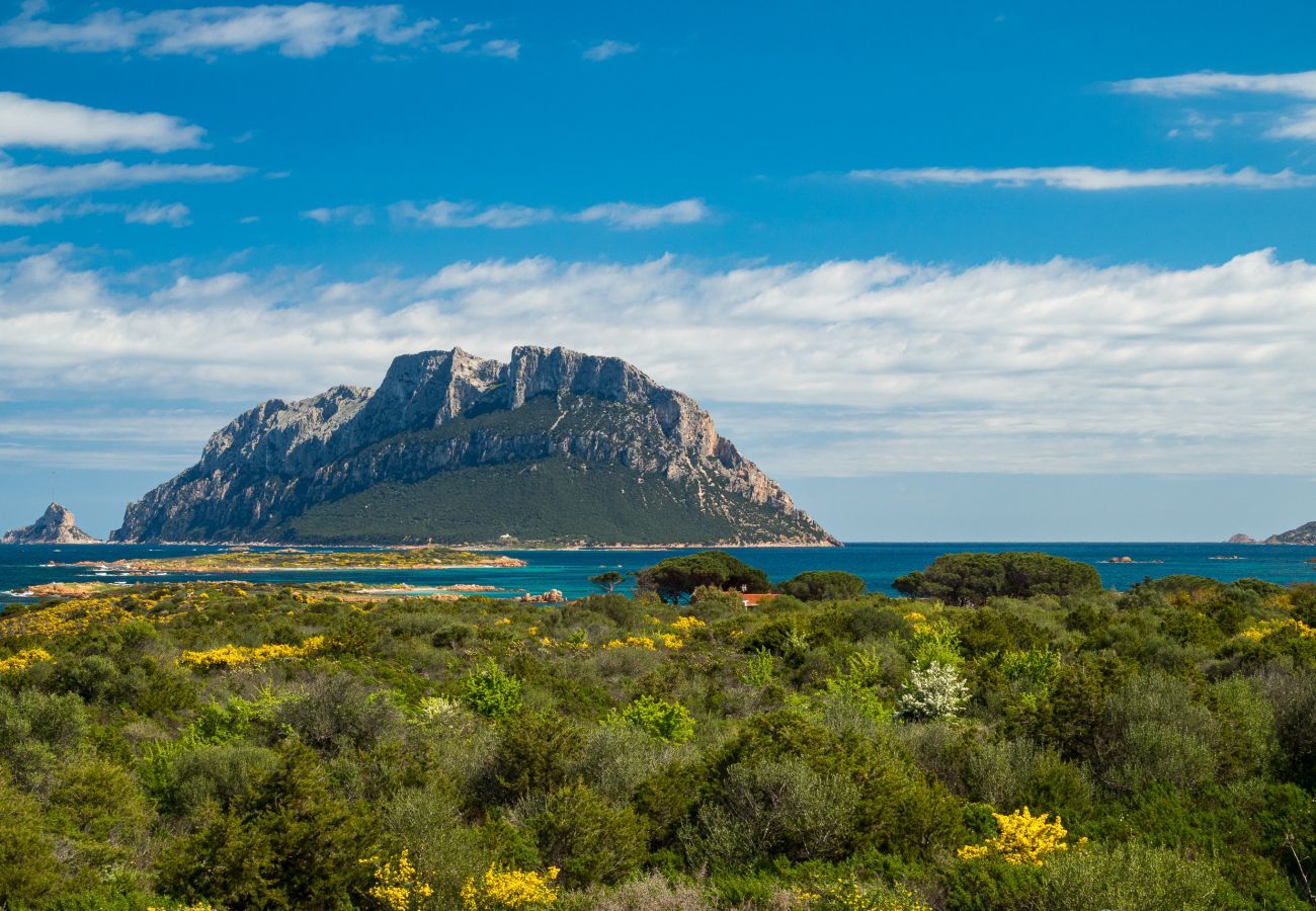 Appartement à Porto San Paolo - Il Poggio 8