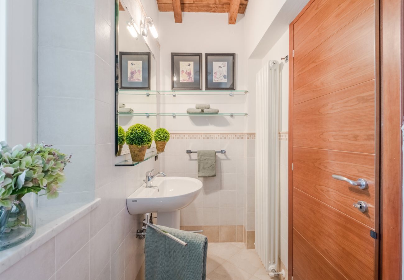 Appartement à Lucques - San Concordio Terrace