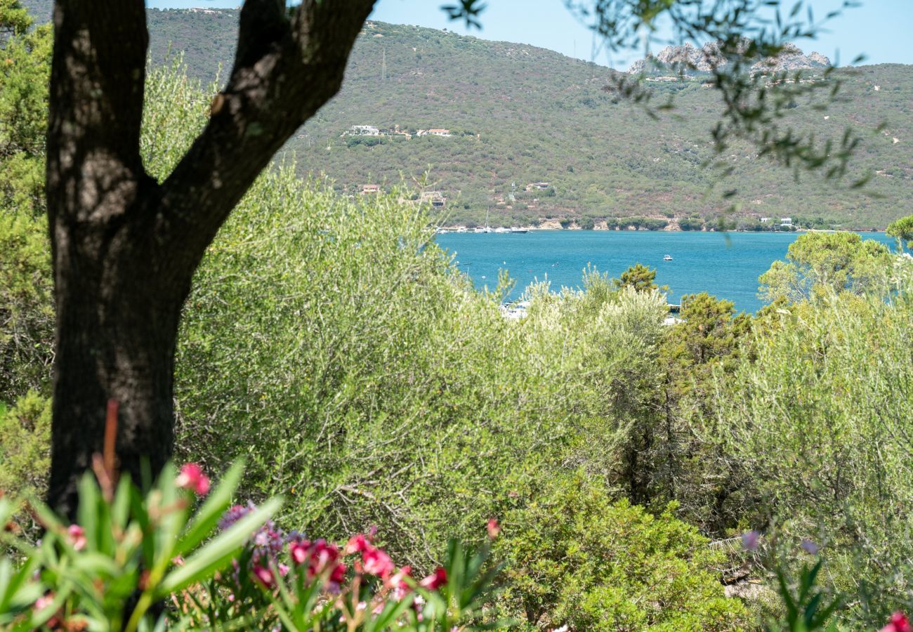 Appartement à Porto Rotondo - Caletta Nest 88