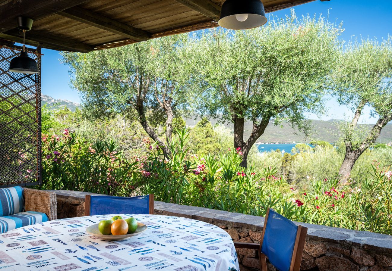 Appartement à Porto Rotondo - Caletta Nest 88