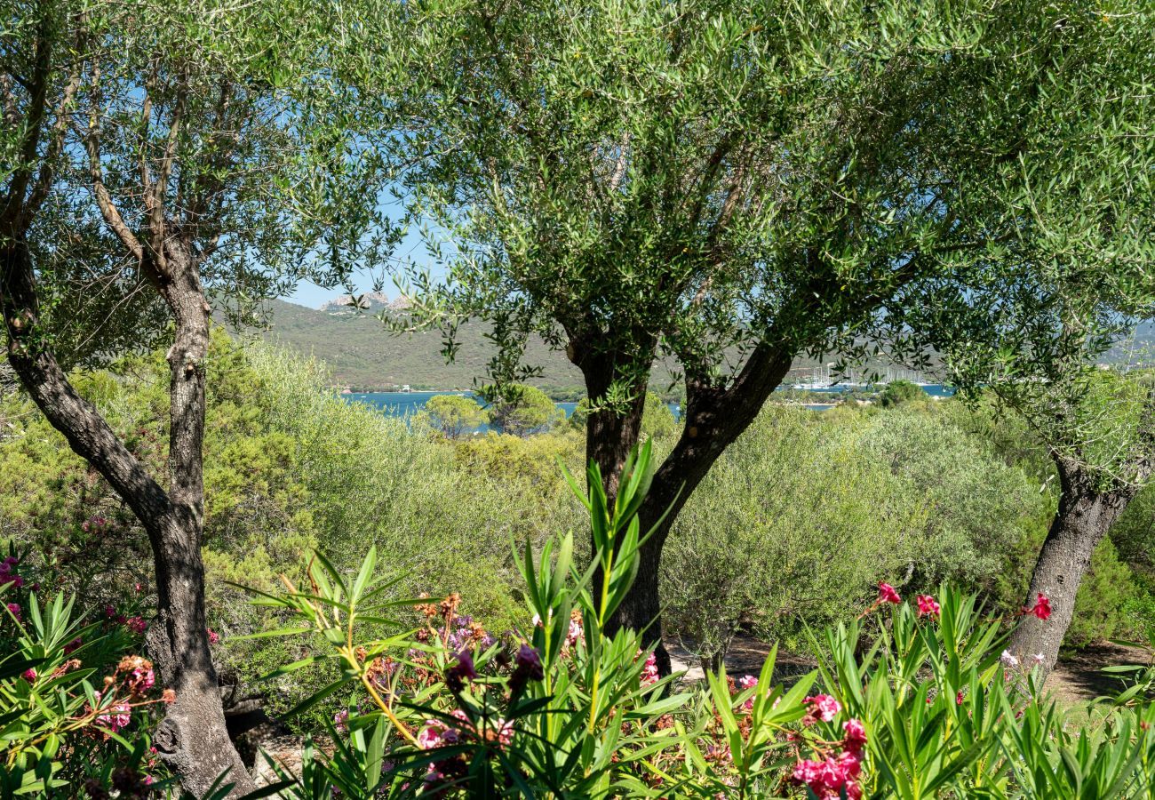 Appartement à Porto Rotondo - Caletta Nest 88