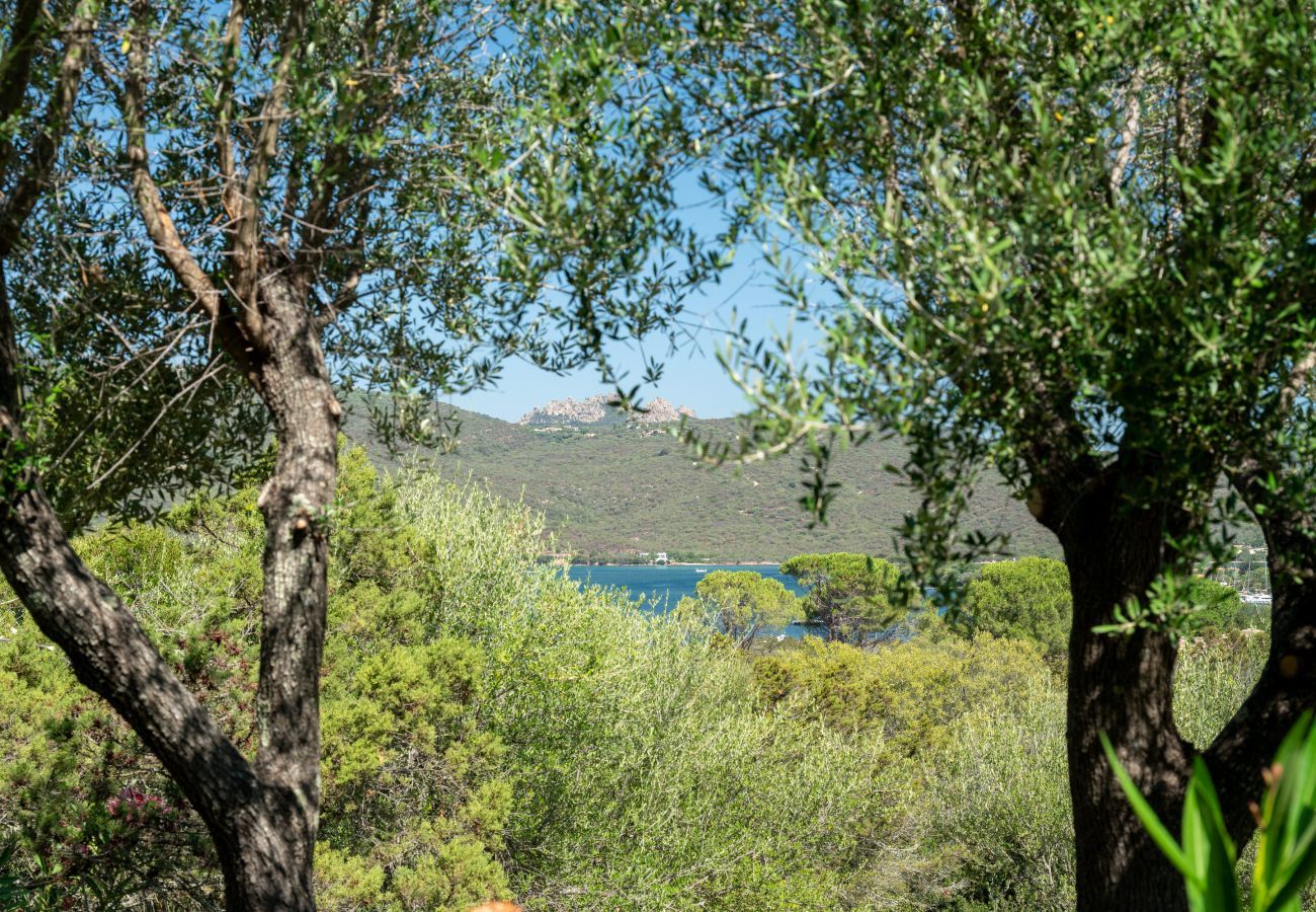 Appartement à Porto Rotondo - Caletta Nest 88