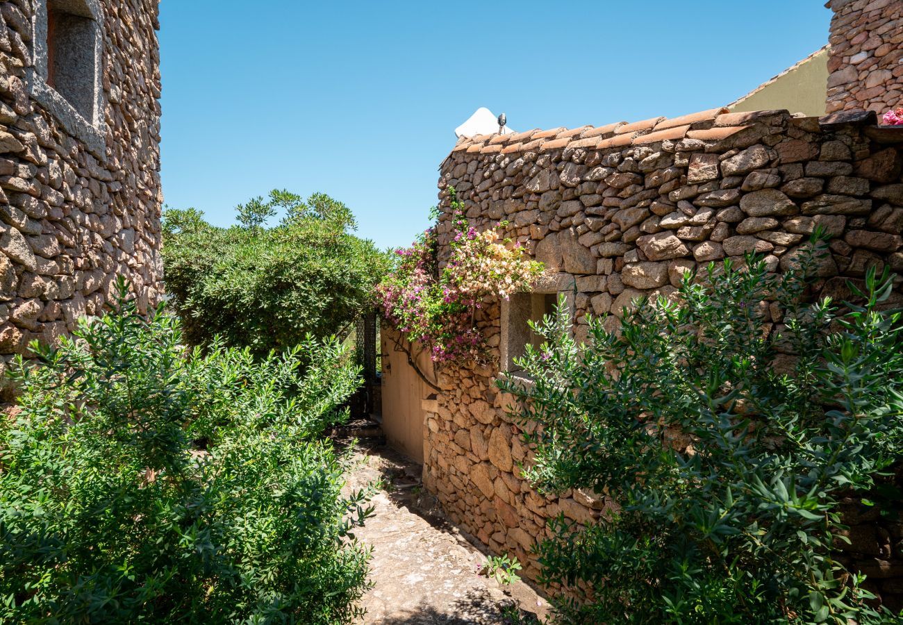 Appartement à Porto Rotondo - Caletta Nest 88