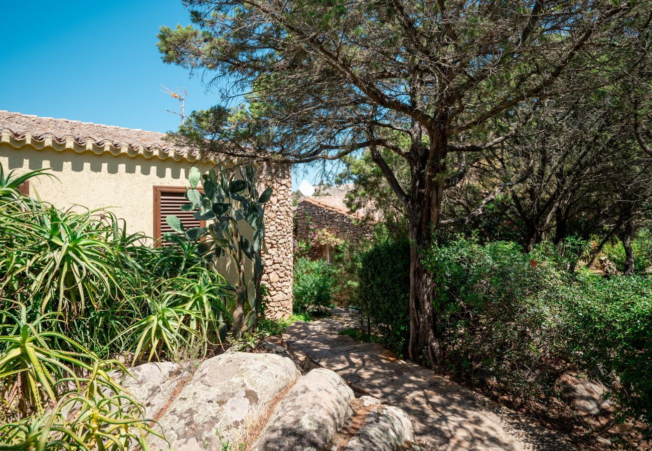 Appartement à Porto Rotondo - Caletta Nest 88
