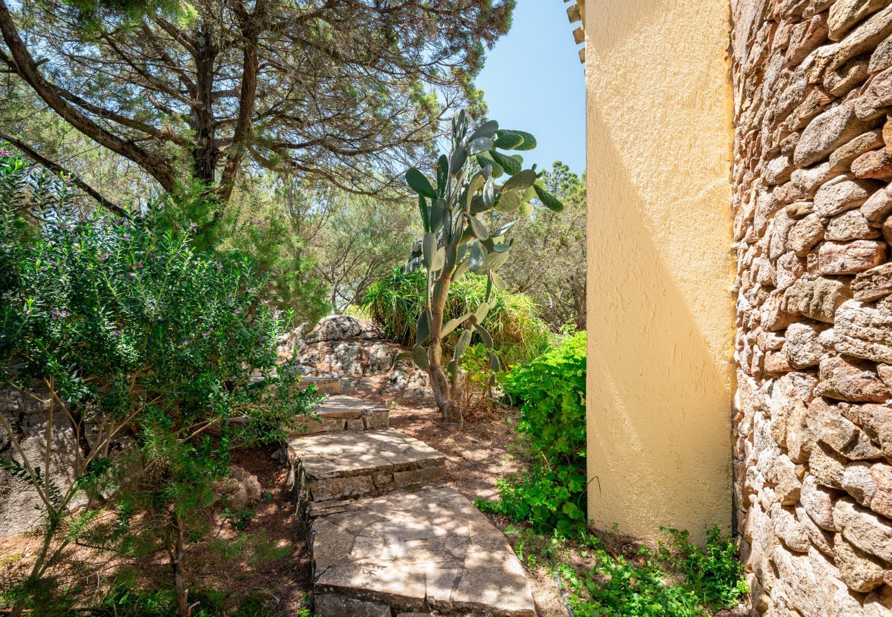 Appartement à Porto Rotondo - Caletta Nest 88
