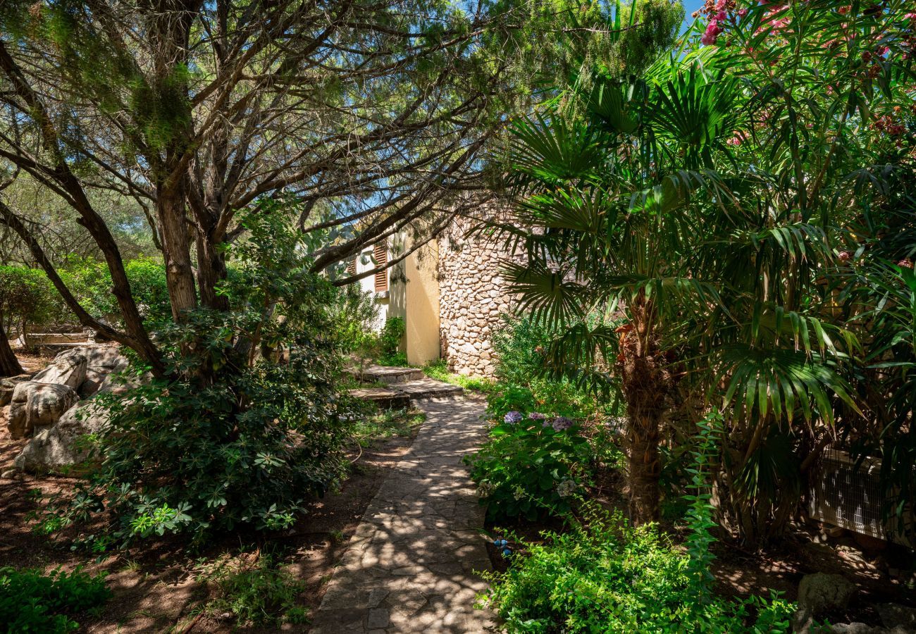 Appartement à Porto Rotondo - Caletta Nest 88