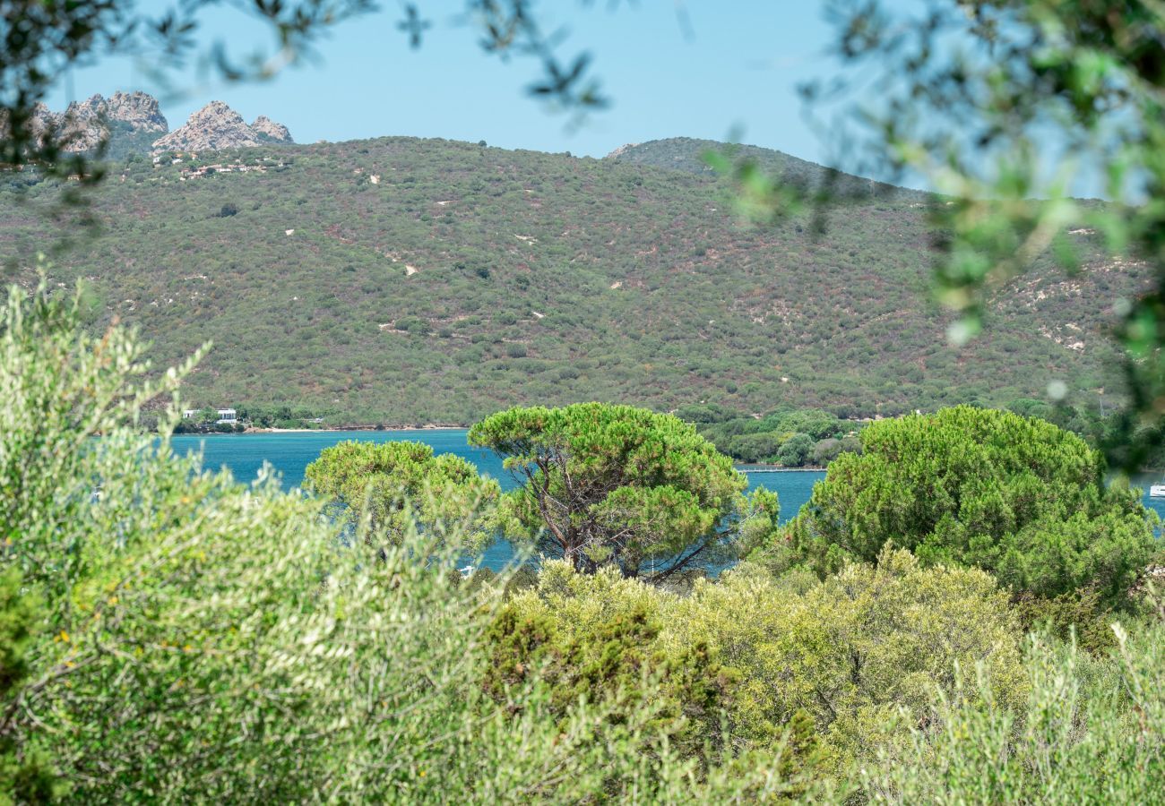 Appartement à Porto Rotondo - Caletta Nest 88