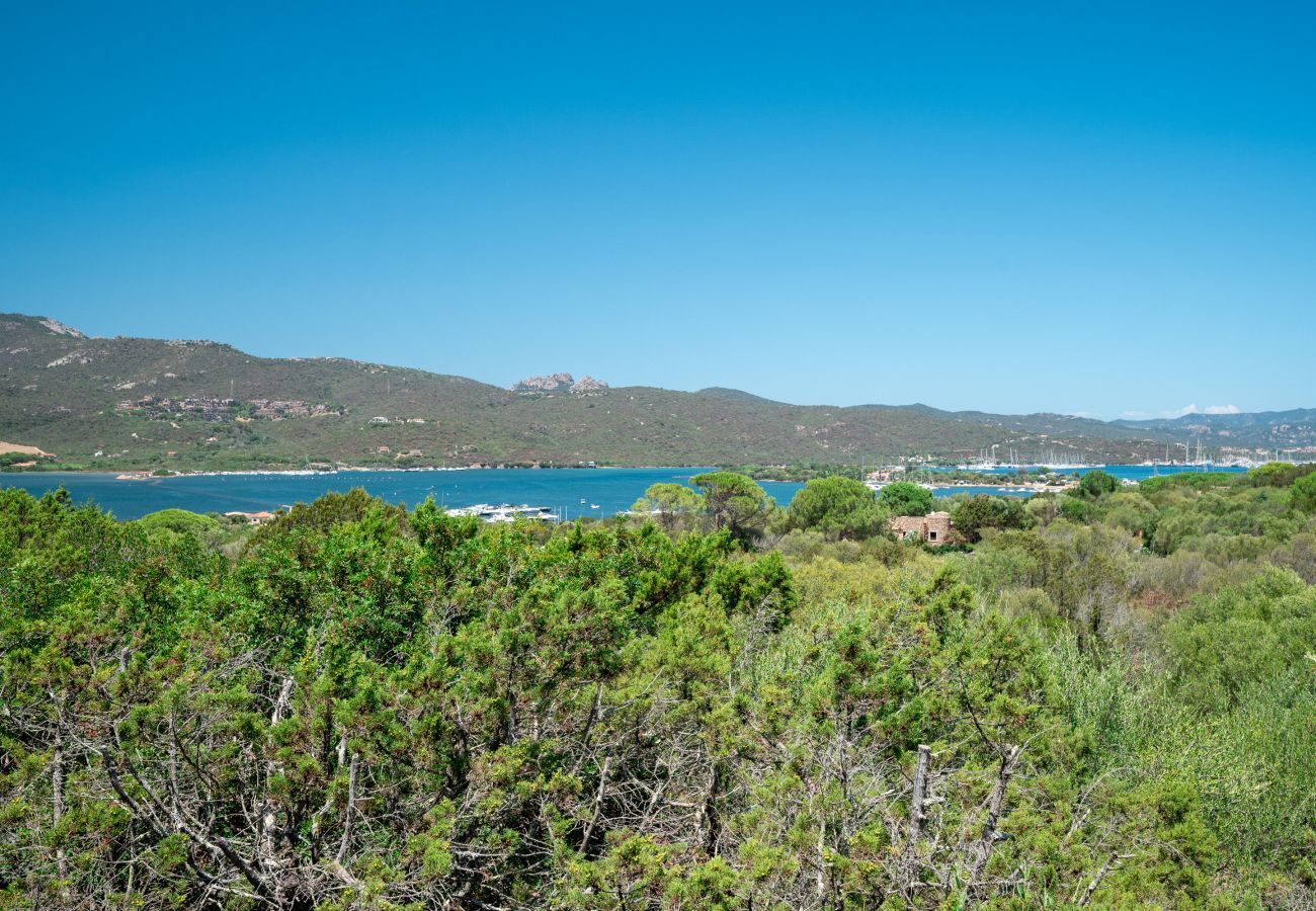 Appartement à Porto Rotondo - Caletta Nest 88