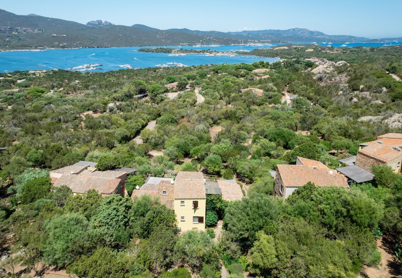 Appartement à Porto Rotondo - Caletta Nest 88
