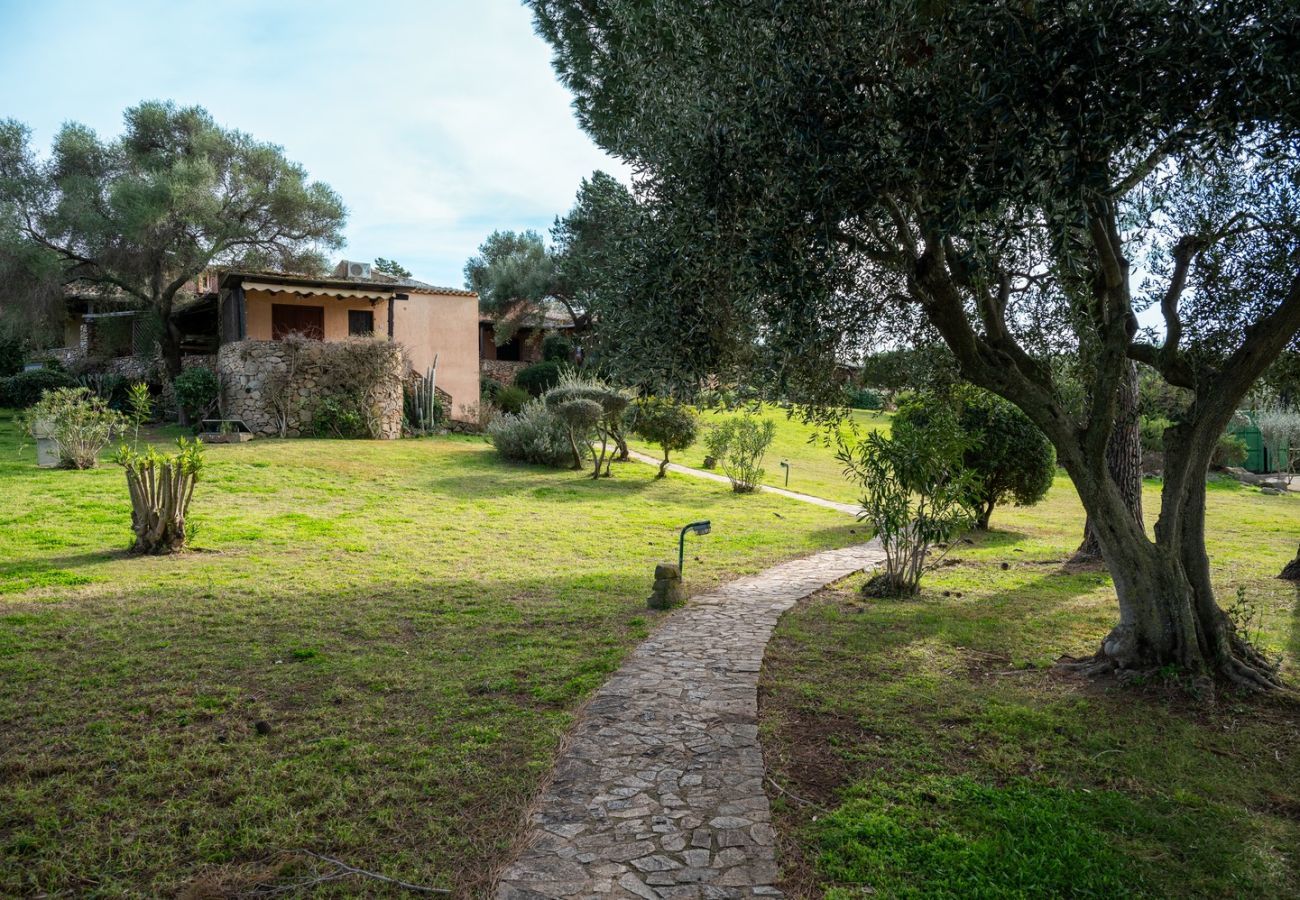 Appartement à Porto Rotondo - Caletta Nest 38