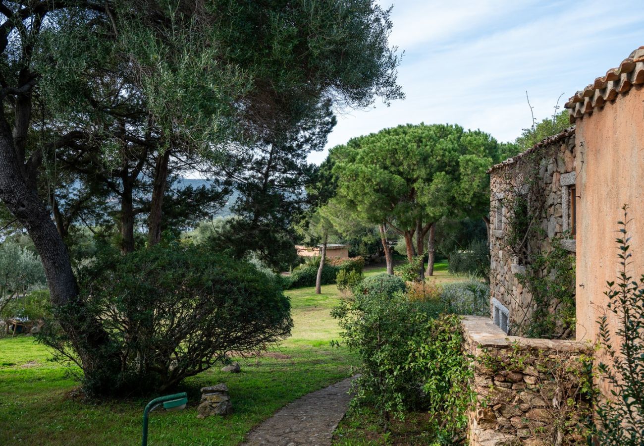 Appartement à Porto Rotondo - Caletta Nest 38