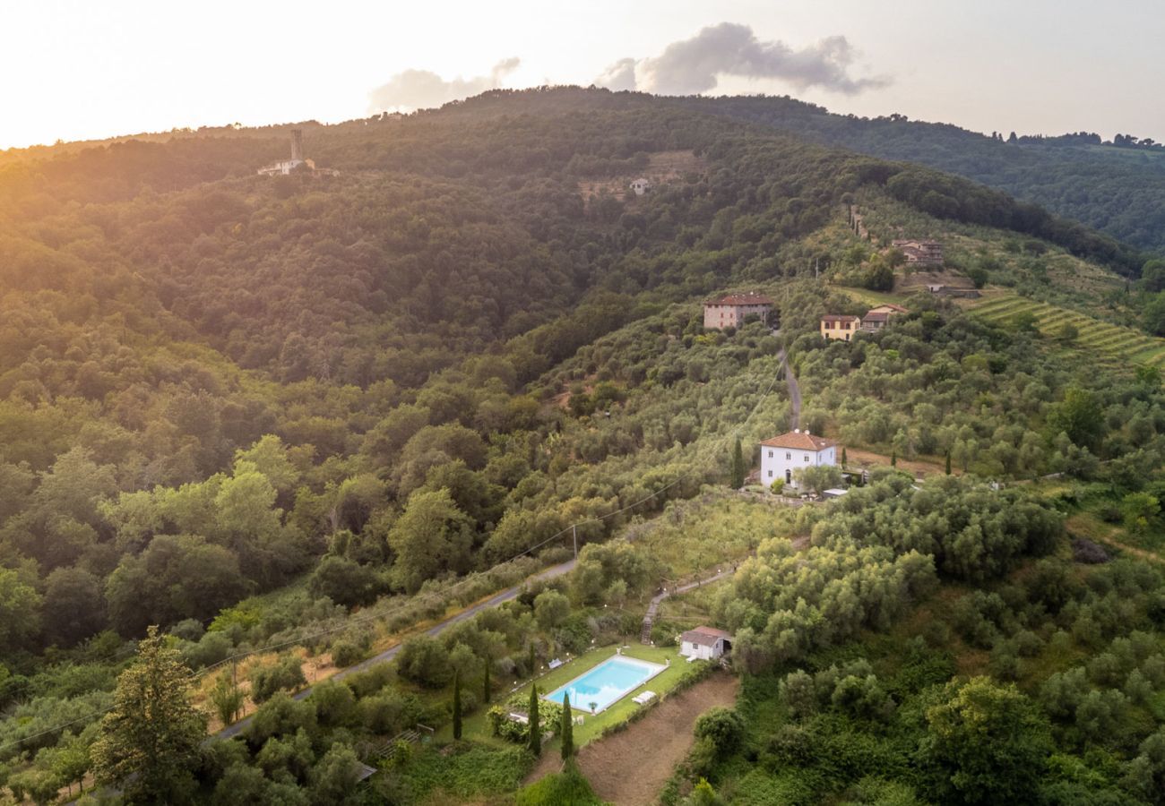 Villa à Lucques - Villa Querciabella