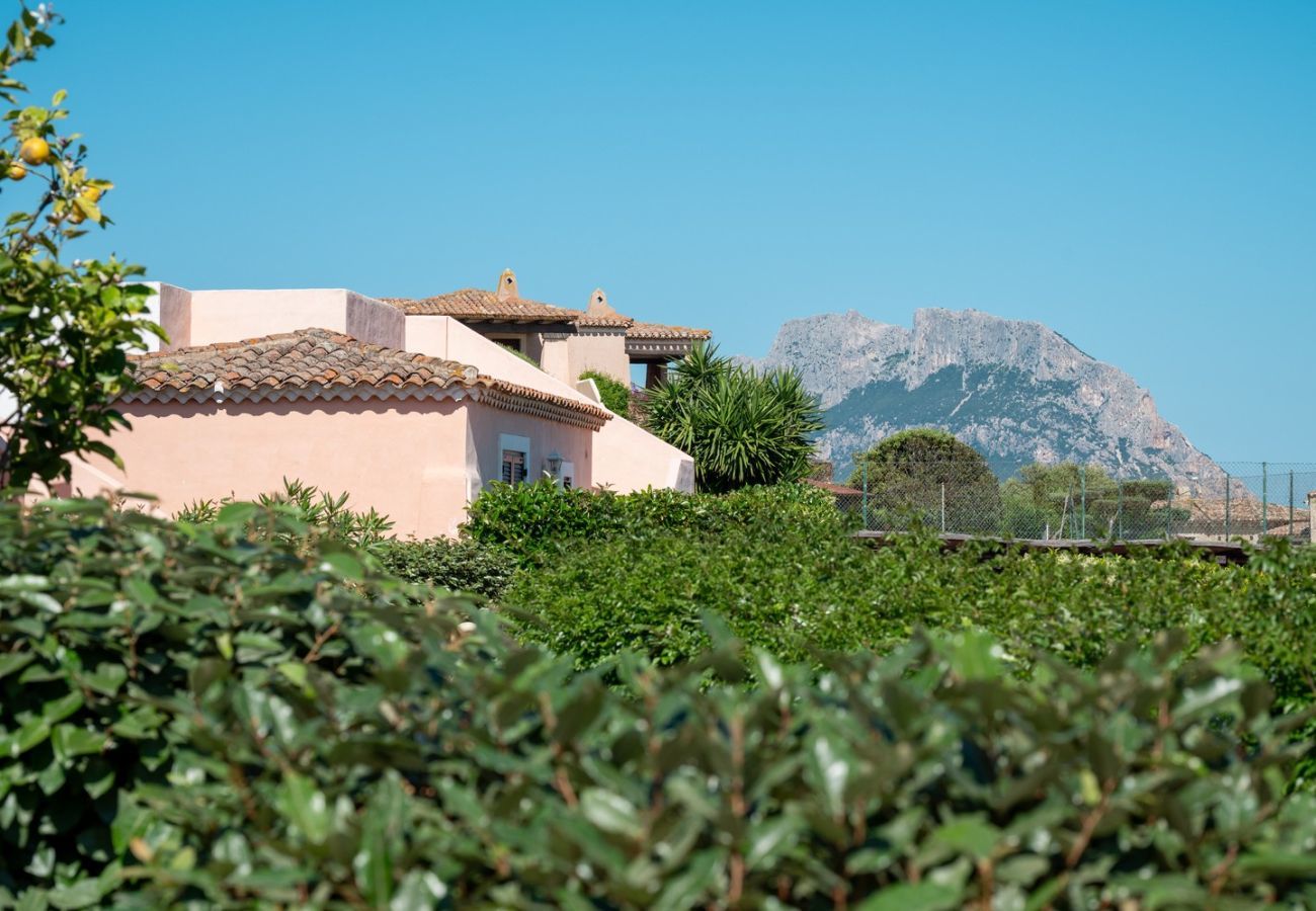 Villa à Porto San Paolo - Villa Pogelia