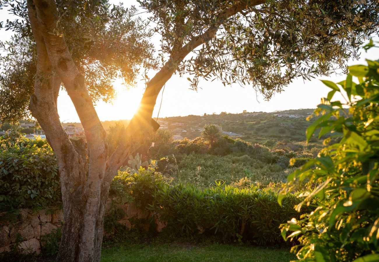 Villa à Porto San Paolo - Villa Pogelia