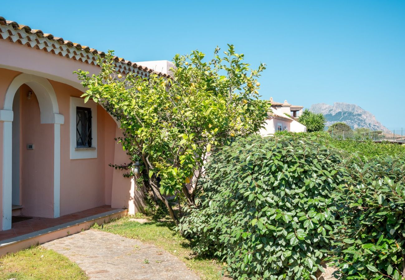 Villa à Porto San Paolo - Villa Pogelia