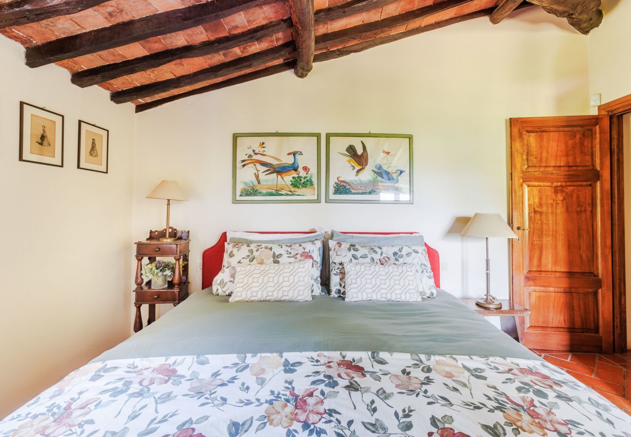 Villa à Lucques - Villa Morello Farmhouse