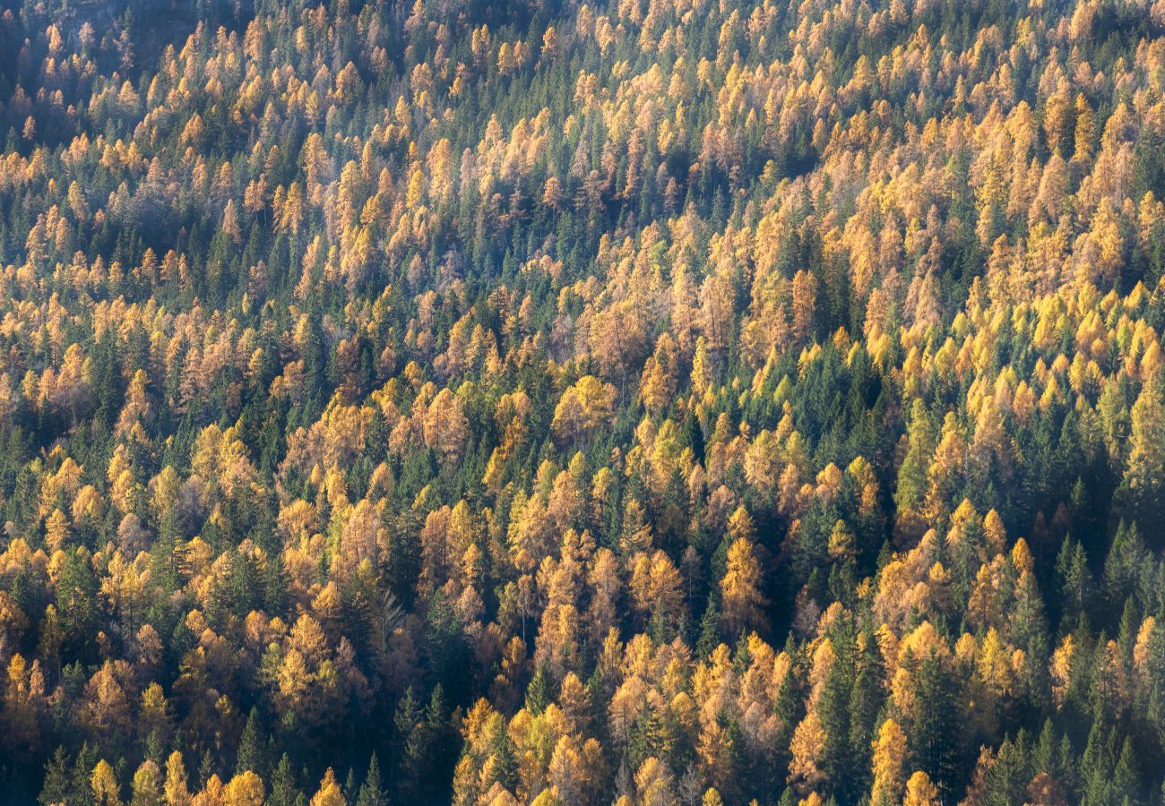 Appartement à Cortina d´Ampezzo - Angiolina Charming Apartment R&R