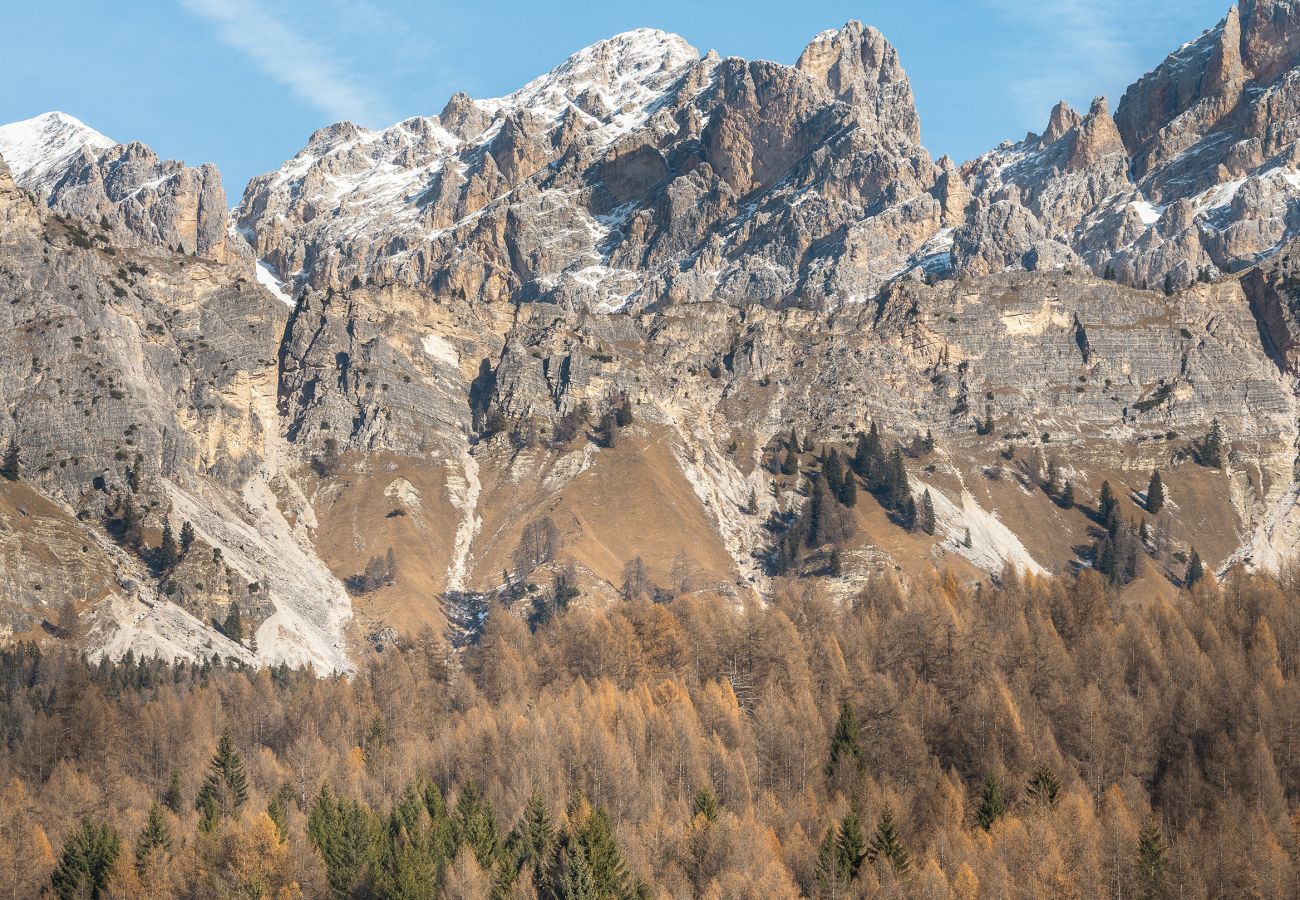 Appartement à Cortina d´Ampezzo - Cianderies Cozy Apartment R&R