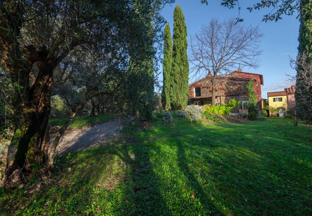 Villa à San Lorenzo di Moriano - Uva Cottage Farmhouse
