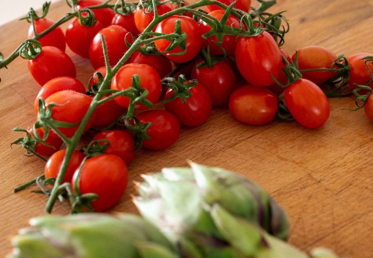 Appartement à Olbia - Gimber Lofts 3