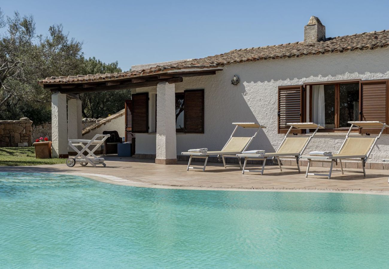 Villa à San Pantaleo - Villa Junia