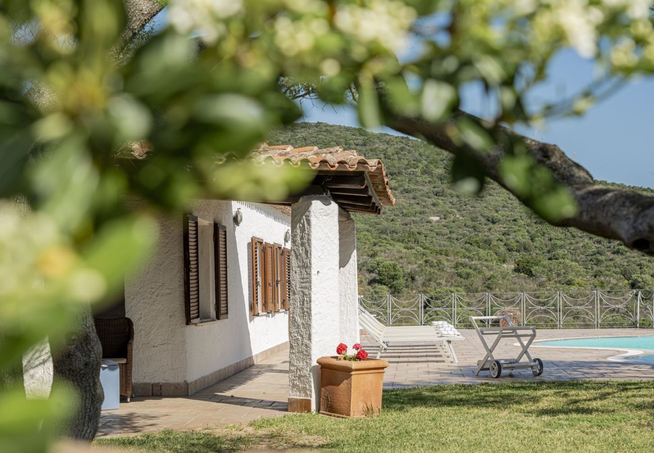 Villa à San Pantaleo - Villa Junia