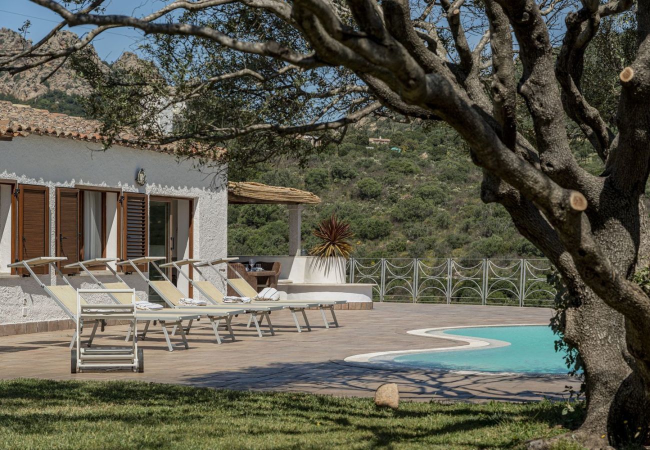 Villa à San Pantaleo - Villa Junia