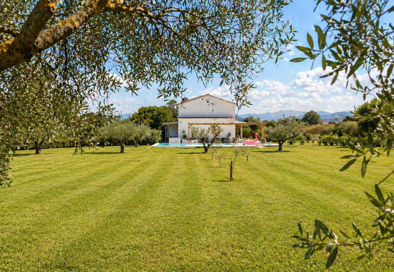 Appartement à Olbia - The Olive Retreat